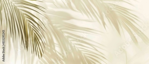 Fototapeta Blurred shadow from palm leaves on light cream wall