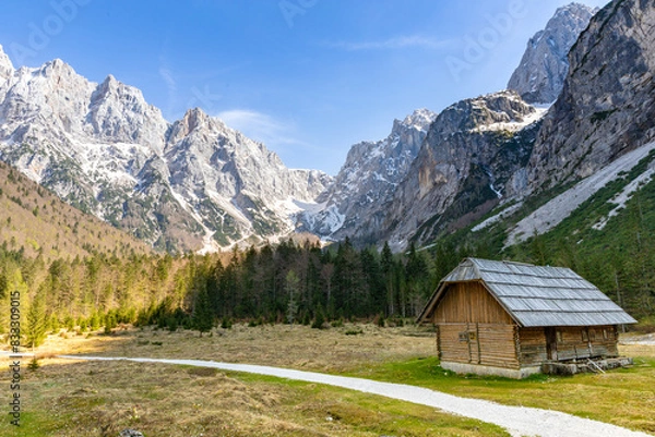 Fototapeta alpine landscape