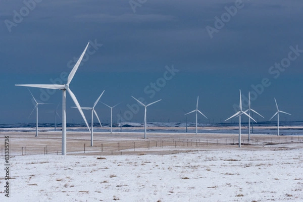 Obraz Wind Turbines in Winter Wheat fields