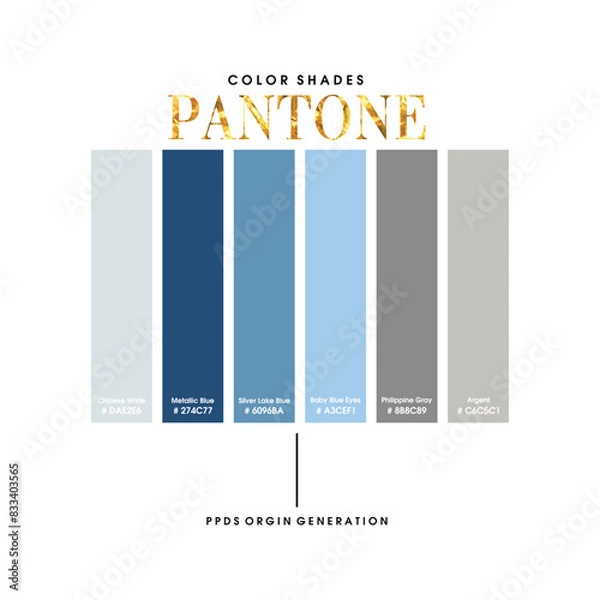Obraz COLOR SHADES PANTONE PPDS - Modern and Stylish Typography Design, Graphic Vector Design, Fashion Illustration, 