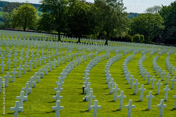 Fototapeta Henri-Chappelle American Cemetery in Belgium resting place for more than 7,000 U.S. servicemen from World War 2