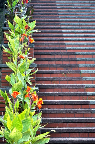 Obraz Stairs Leading to the Mosque 4