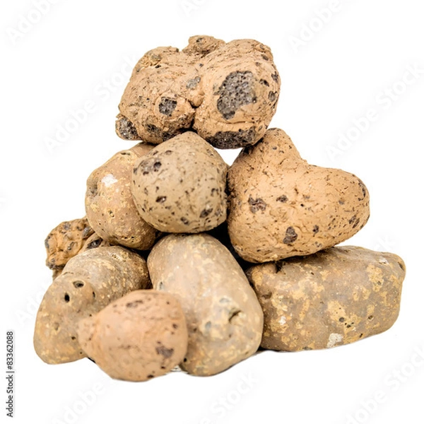 Obraz Hill clay balls isolated
