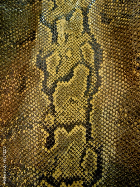 Obraz snake skin