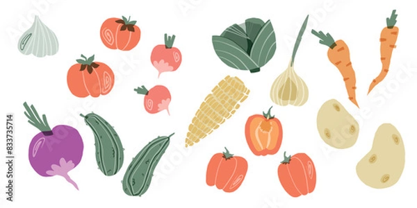 Fototapeta big set of vector vegetables in collage style isolated on white background