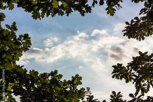 Obraz Wolken durchs Geäst