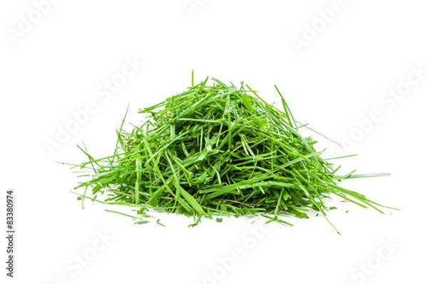 Fototapeta Rasenschnitt