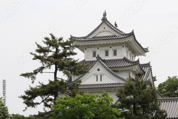 Fototapeta 大垣城