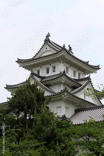 Fototapeta 大垣城