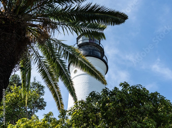 Fototapeta Palm Tree with Key West Lighthouse in Southern Most Part of Florida.