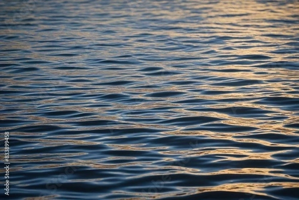 Fototapeta water surface