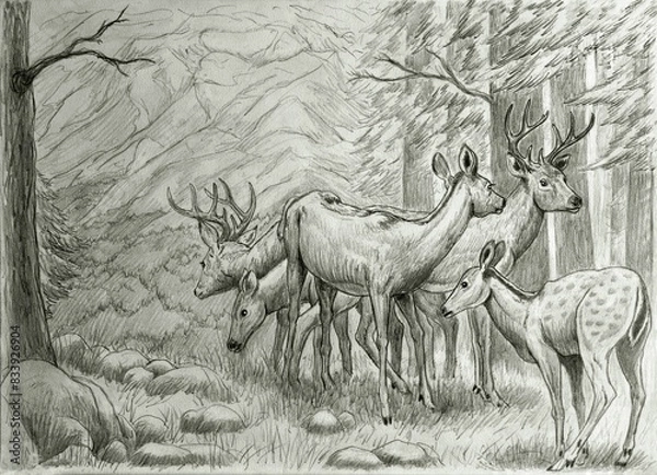 Obraz deer in the forest