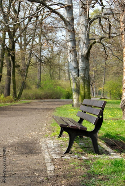 Obraz Banch in the park