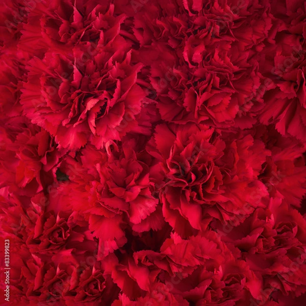 Obraz Bouquet of red flowers carnation for use as nature background.