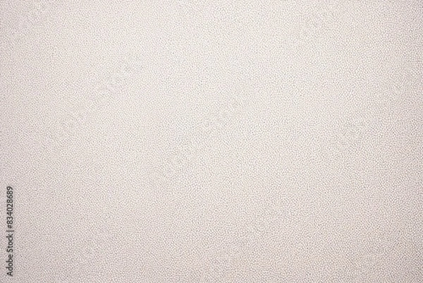 Obraz white canvas texture