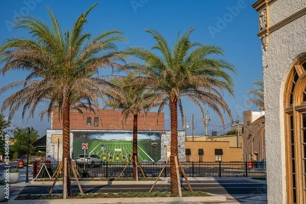 Obraz chattahoochee, Florida