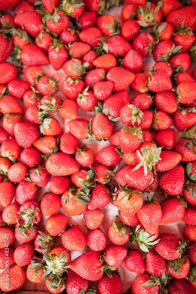 Obraz Fresh strawberries