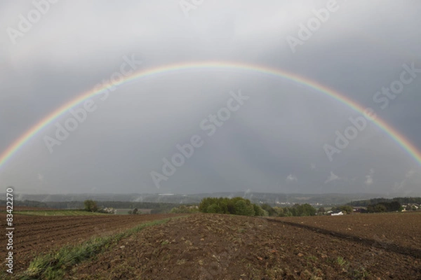 Fototapeta Regenbogen