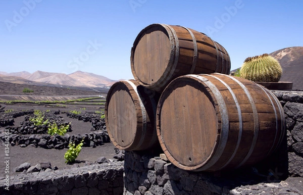 Obraz wine barrels