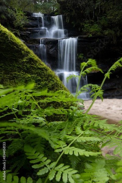 Fototapeta Beautiful multi tiered cascading waterfall in a lush forest of ferns and mossy rocks
