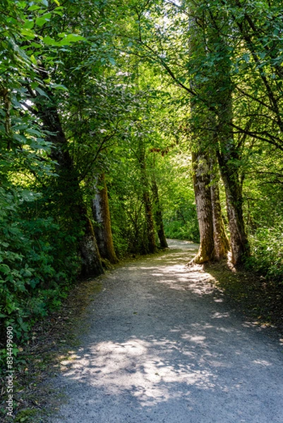 Fototapeta Forest like park in city with path trail for pedestrians
