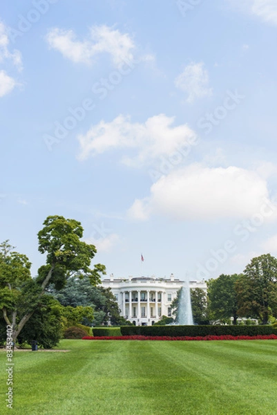 Obraz White House - Washington DC