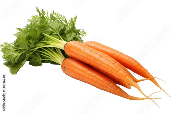 Fototapeta Fresh carrots with green tops isolated on transparent background