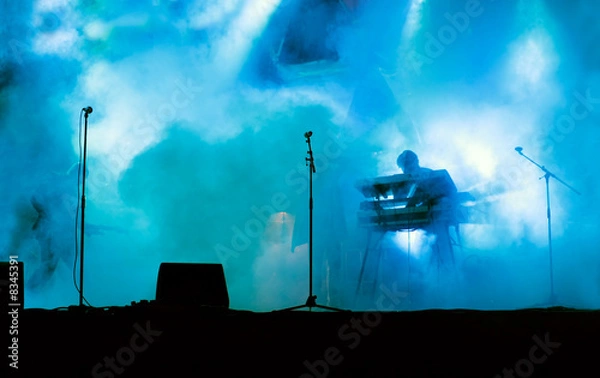 Fototapeta Live on Stage