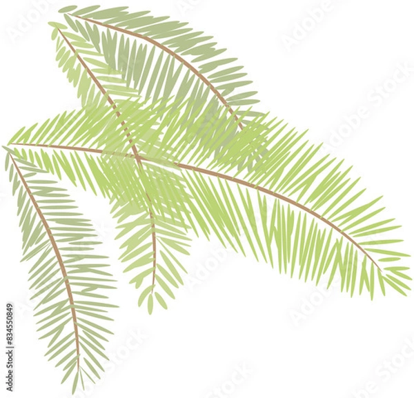 Obraz tropical date leaves