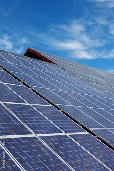 Fototapeta solar panels