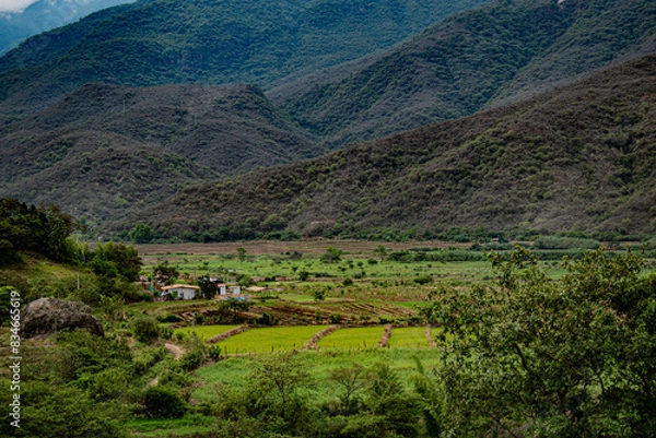 Obraz rice terraces in mountains