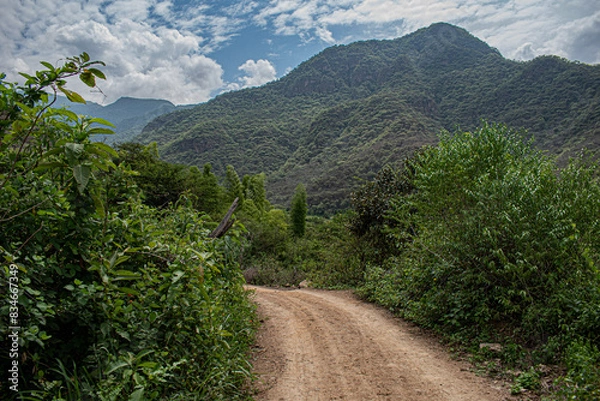 Obraz road in the mountains
