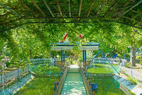 Obraz タイの公園の池