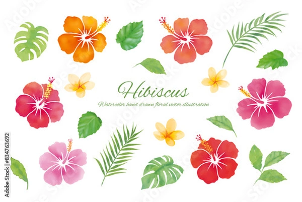 Obraz 水彩たちのトロピカルな装飾フレーム