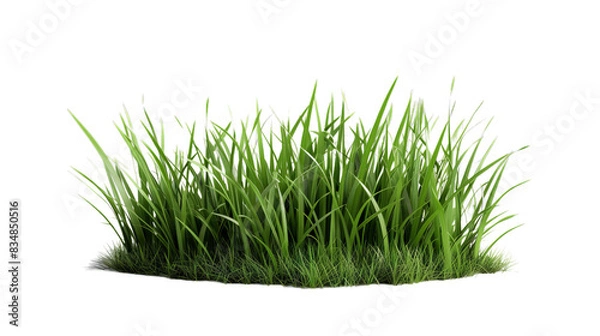 Fototapeta Lush Green Grass Clump Isolated on Transparent Background, PNG