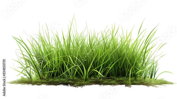 Fototapeta Lush Green Grass Clump Isolated on Transparent Background, PNG
