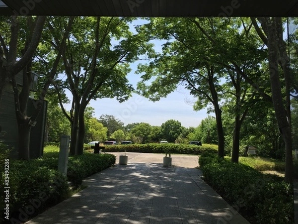 Obraz 公園