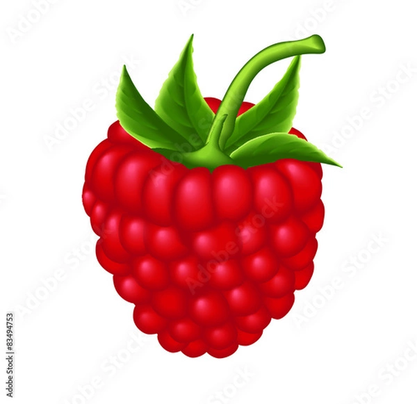 Obraz Pure Raspberry