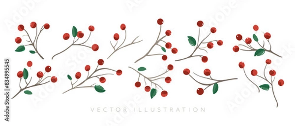 Fototapeta Collection of cartoon red berries loganberries, cranberries, viburnum, rowan, stoneberry. Set berry isolated. Hand drawn design elements in doodle style