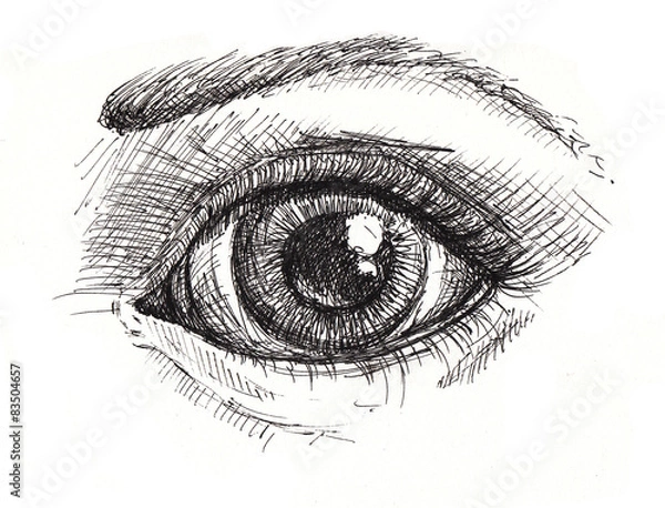 Fototapeta Black and white drawing of eye