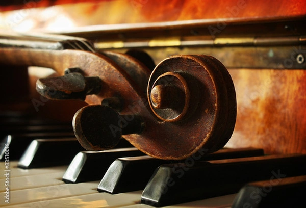 Obraz Beautiful violin