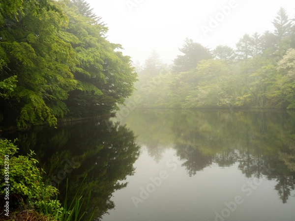 Fototapeta 霧の雲場池