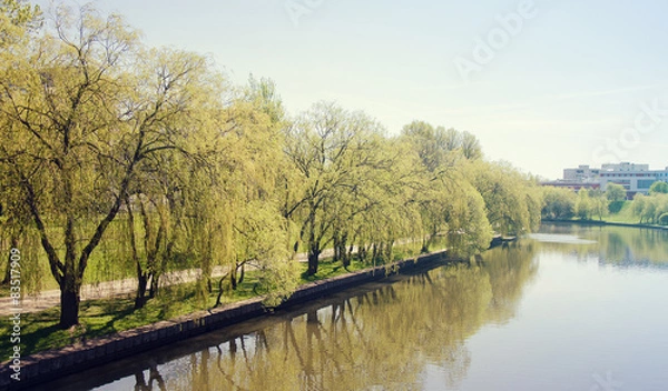 Obraz River and Trees