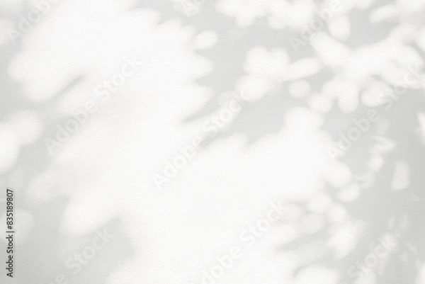 Obraz Leaf shadow and light on wall background. Nature tropical leaves tree branch and plant shade with sunlight from sunshine dappled on white wall texture for background wallpaper, shadow overlay effect