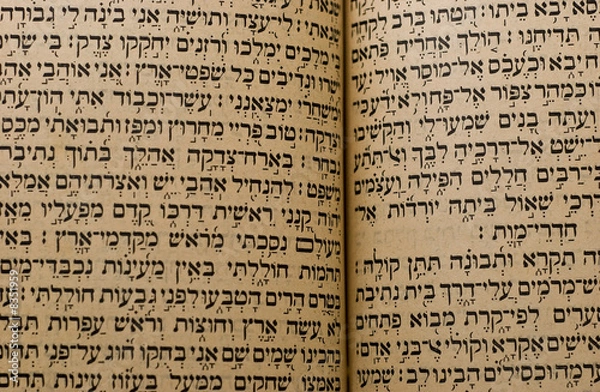 Obraz Torah