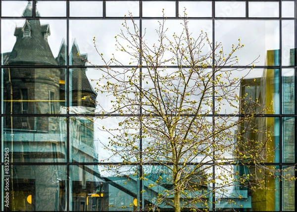 Fototapeta modern office building exterior with many windows, and trees