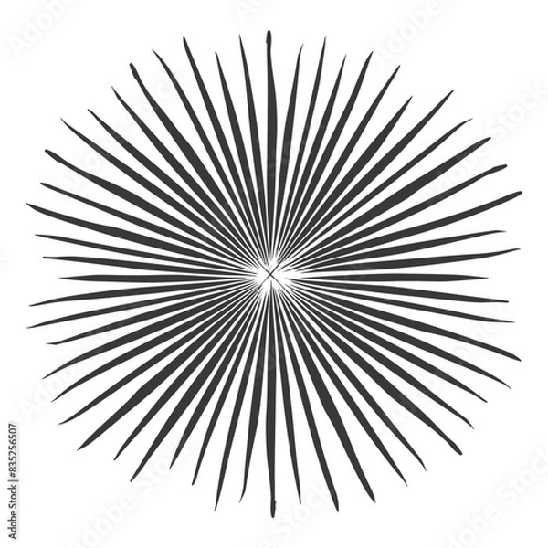 Obraz silhouette vintage sunburst black color only