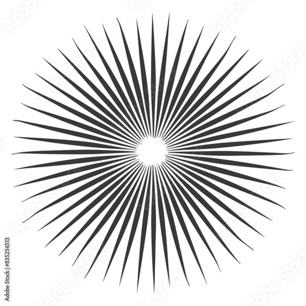 Obraz silhouette vintage sunburst black color only