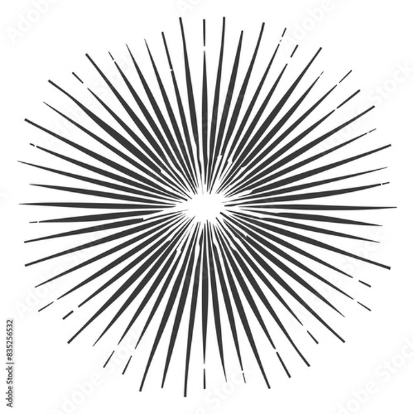 Obraz silhouette vintage sunburst black color only