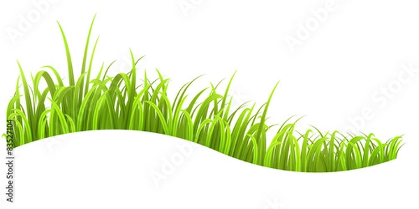 Obraz Grass wave isolated on white background